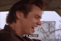 Quotes From Ace Ventura Pet Detective - Funny Gifs & Scenes From Jim Carrey