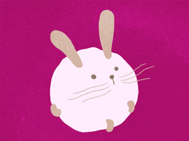animation illustration animal rabbit photoshop motion graphics cindy suen doodle cell mograph morph frame by frame doodles motion graphic illustrations whisker