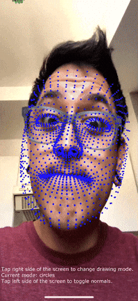 Example of ARKit normals