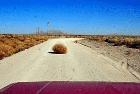 Desert With Tumbleweed Gif Nettiklo Desert With Tumbleweed Gif Nettiklo