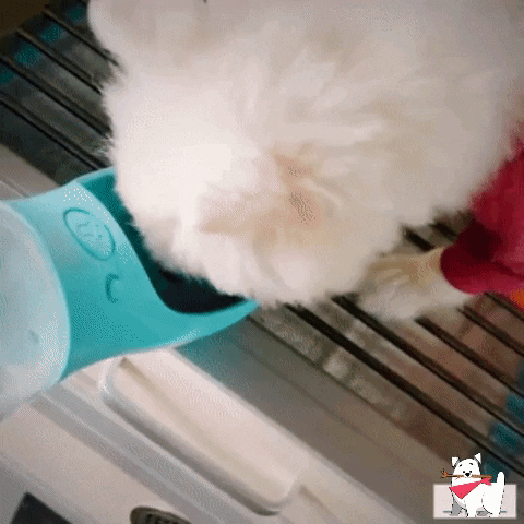 Преносима бутилка за вода за кучета 9 giphy