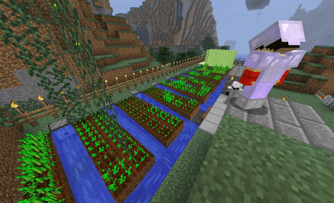 Farming Efficiency in Minecraft