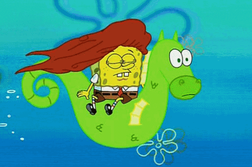 spongebob long hair sea horse bad bicthes animated GIF