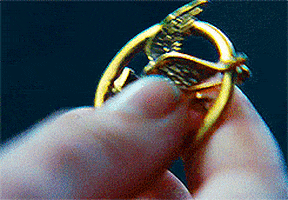 The Hunger Games animated GIF