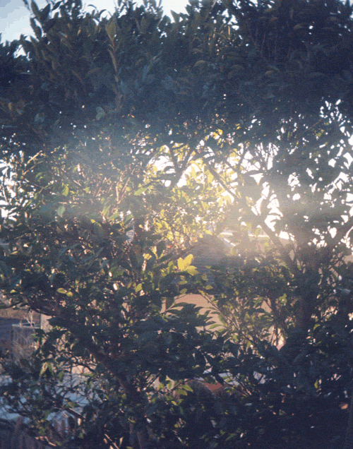 this gif has everything: 3d, nishika n800!