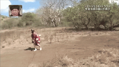 gif shortener shorten