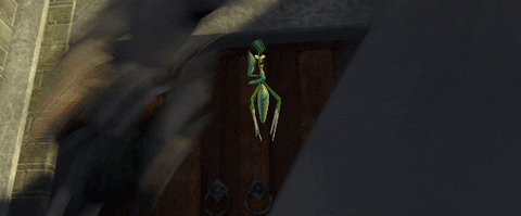 giphy.gif
