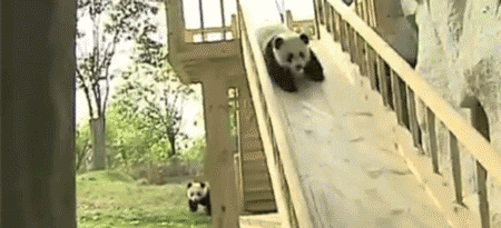 panda push down hill