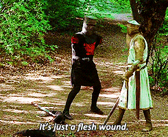 Monty Python Fight GIF - Find & Share on GIPHY