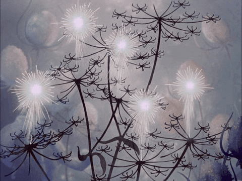 disney animated GIF