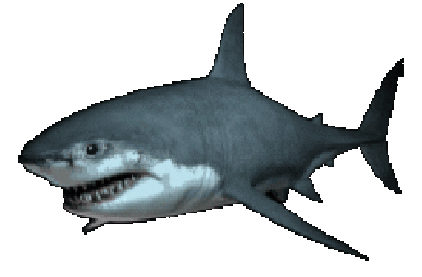... animals 3d nature fish shark great white marine life animated Sticker