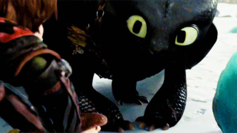 How To Train Your Dragon GIFs - Find & Share on GIPHY