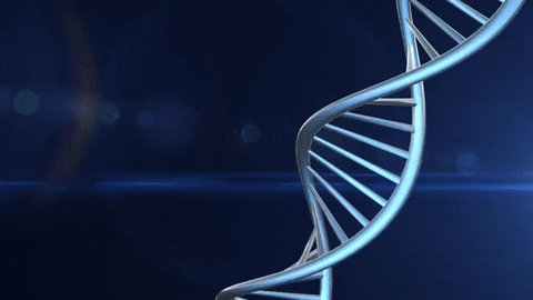 Dna GIF - Find & Share on GIPHY