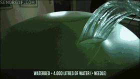 win (1560) Animated Gif on Giphy