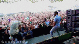 giphy.gif