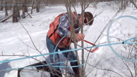 Science Friday animated GIF