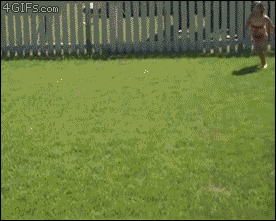 fail animated GIF