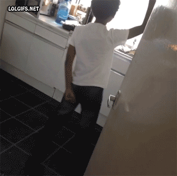 funny animated GIF