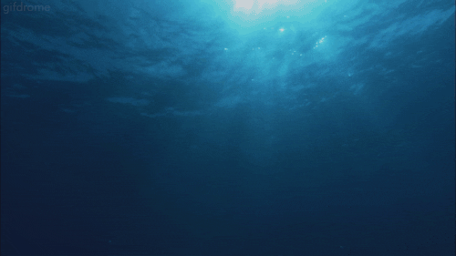 nature water ocean immerse animated GIF