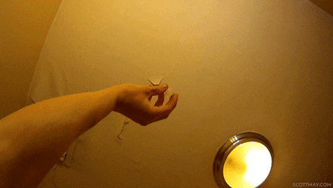 giphy.gif