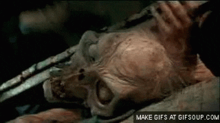 giphy.gif