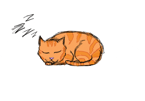 ... sleeping beauty stripes zzz orange cat trollololololol animated GIF
