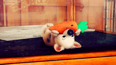 Carrot GIF - Find & Share on GIPHY