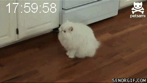 http://media.giphy.com/media/aMNIEEvAdCcc8/giphy.gif