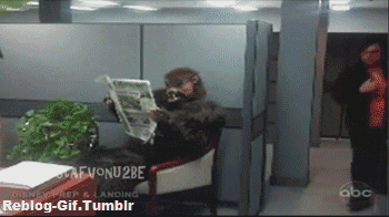 funny animated GIF