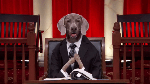 Last Week Tonight Dog GIF - Find & Share on GIPHY