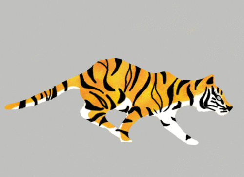 animation tiger run cycle jump cycle entertainment design animated GIF