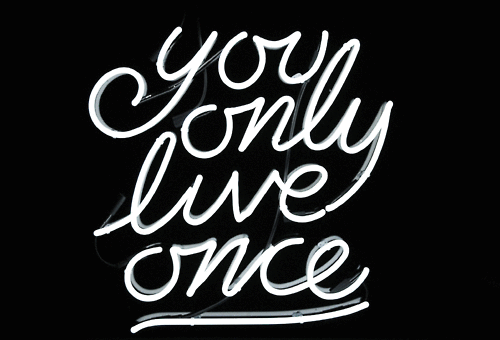 this gif has everything: yolo, you only live once!