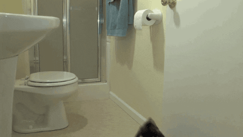source: imgur.com