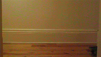 Cat Animated Gif on Giphy