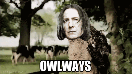 funny s gif - find & share on giphy