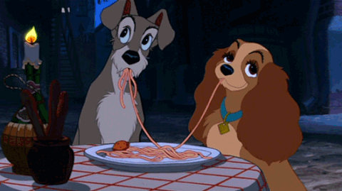 Lady And The Tramp GIF - Find & Share on GIPHY