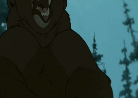 bear bouncer gif
