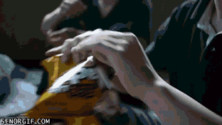 Cheezburger animated GIF
