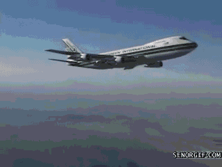 Toilet Airplanes GIF by Cheezburger - Find & Share on GIPHY
