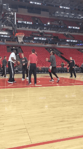 chicago bulls gif
