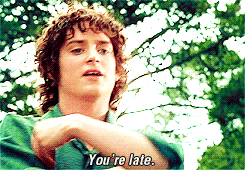 lord of the rings animated GIF 