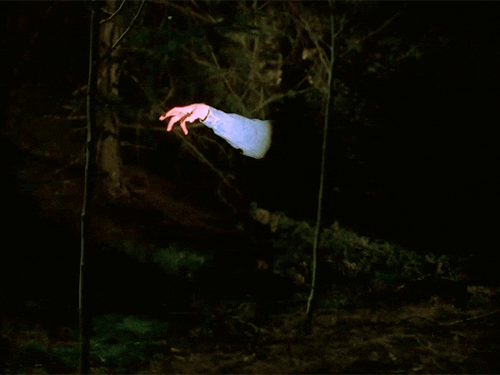 http://media.giphy.com/media/eOuYguc2yYumQ/giphy.gif