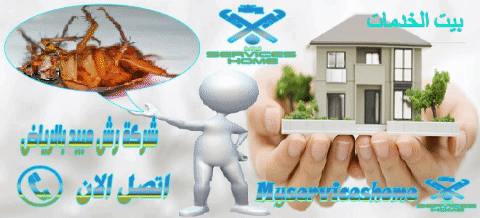 شركة مكافحة الحشرات بالرياض An insect control company in Riyadh
