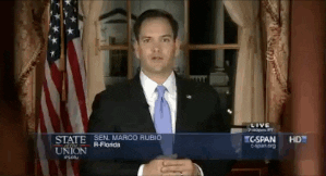 sotu animated GIF 