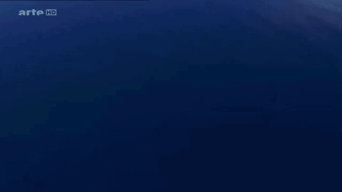 giphy-downsized-large.gif