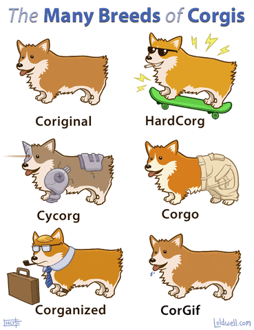 http://media.giphy.com/media/gGP4YedhnsFDW/giphy.gif