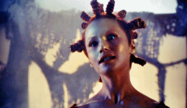 Raelee Hill GIFs on Giphy