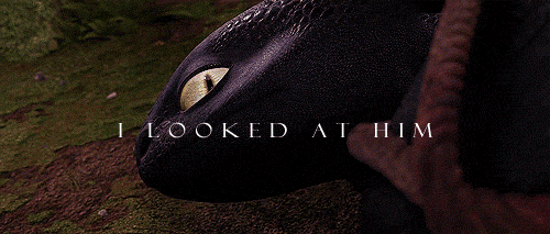 how to train your dragon animated GIF