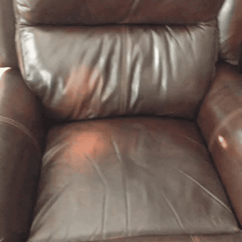 giphy.gif