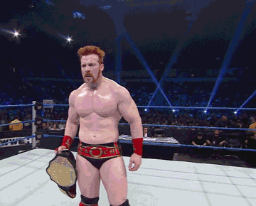 gif shortener shorten wwe wrestling gif dimensions: 360x290 size